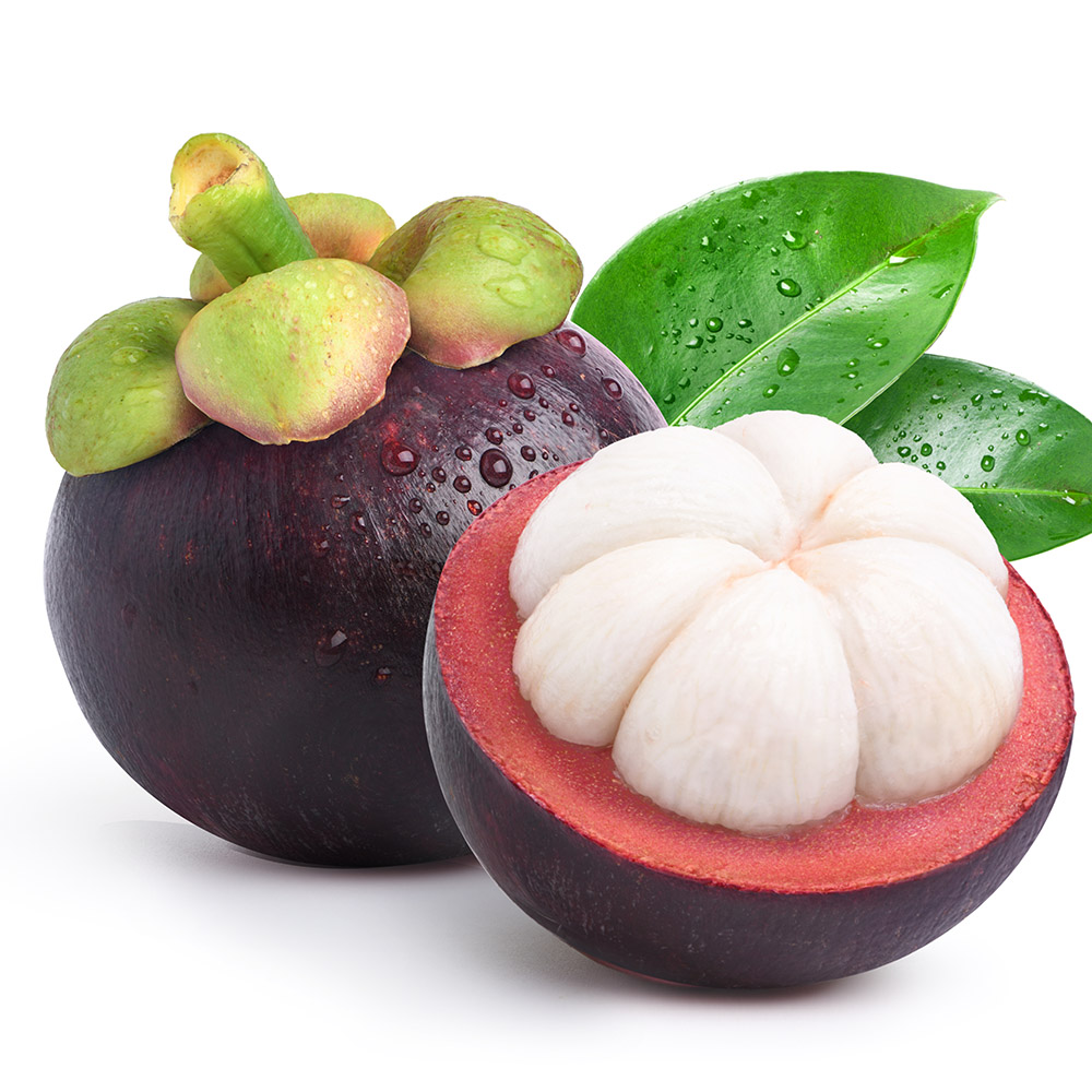 Mangosteen Cancer Treatment Program