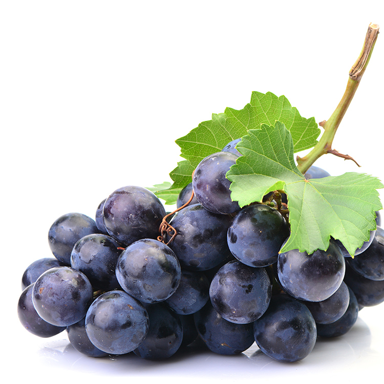Purple Grape Cancer Treatment Program