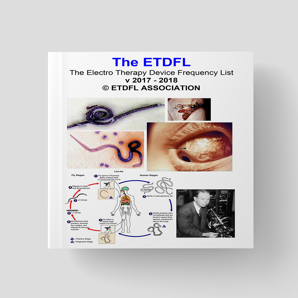 ENGLISH ETDFL 2017 2018